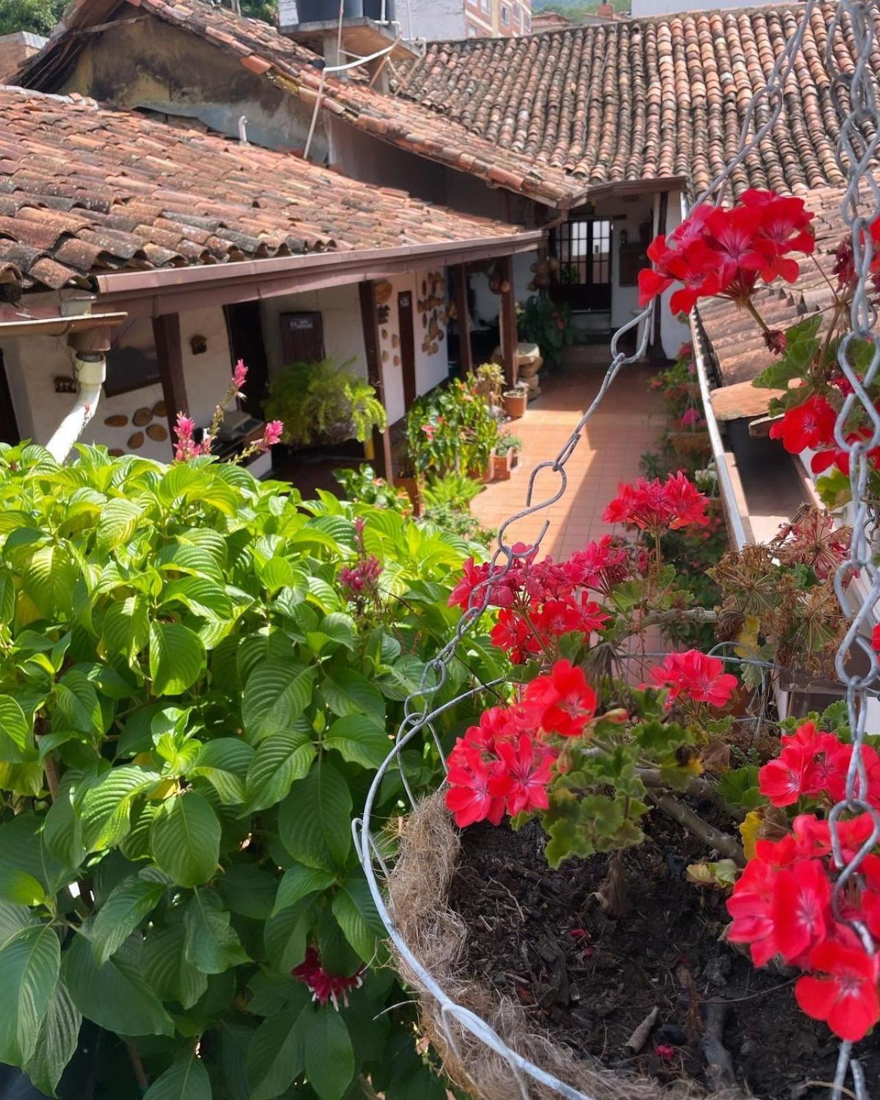 Hotel Casa Posada Don Chepe 圣希尔 外观 照片